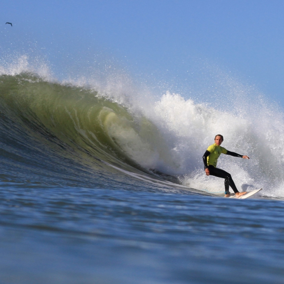 Rama Crego Bottom
